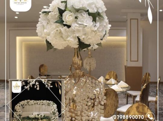 قاعات الارينا سبيس