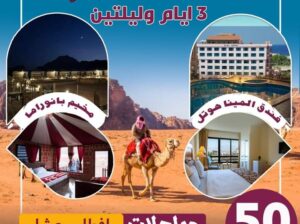 شركة النورس للسياحة والسفر