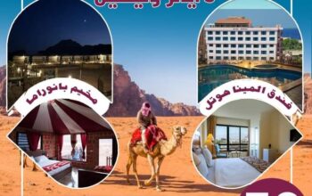 شركة النورس للسياحة والسفر