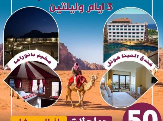 شركة النورس للسياحة والسفر