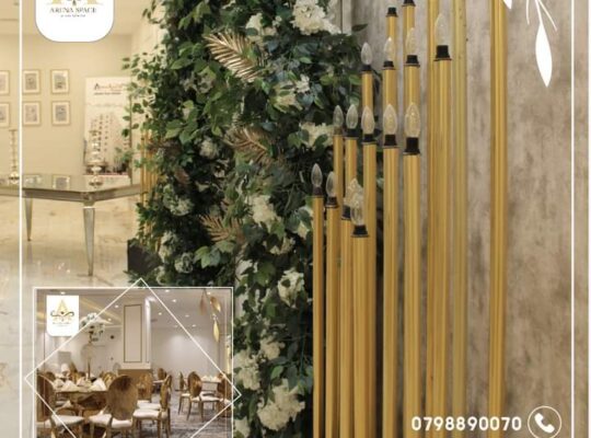 قاعات الارينا سبيس